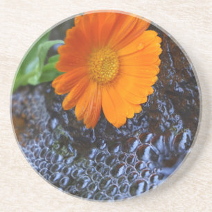 Marigold Flower Photograph Underlägg