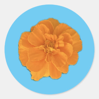 Marigold Flower Sticker Runt Klistermärke