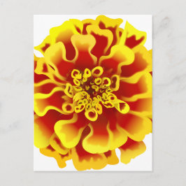 Marigold Flower Vykort