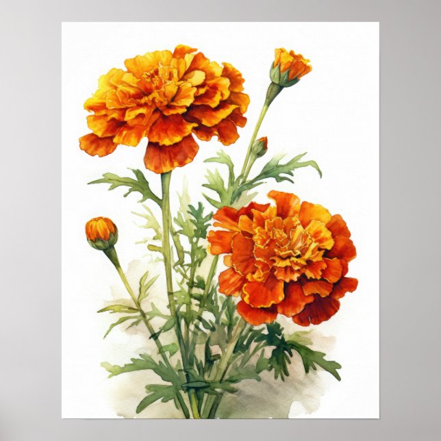 Marigold Flowers Art Print Poster (Framsidan)