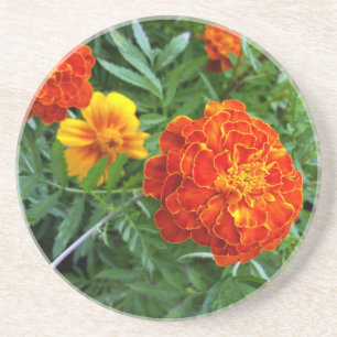 marigold i sol underlägg