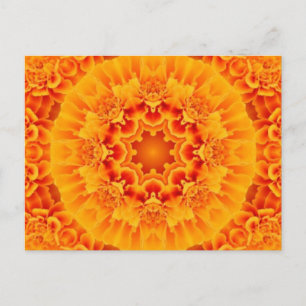 Marigold Mandala Vykort