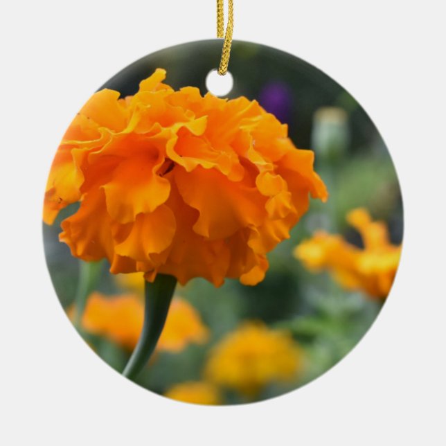 Marigold Orange Flower Nature Photography Garden Julgransprydnad Keramik (Framsidan)