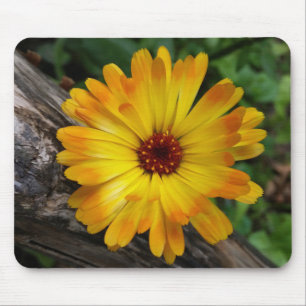 marigold på logg musmatta