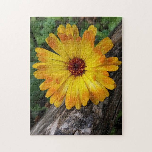 marigold på logg pussel (Vertikal)