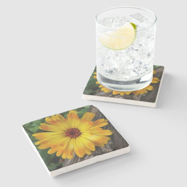 marigold på logg stenunderlägg (Sidan)
