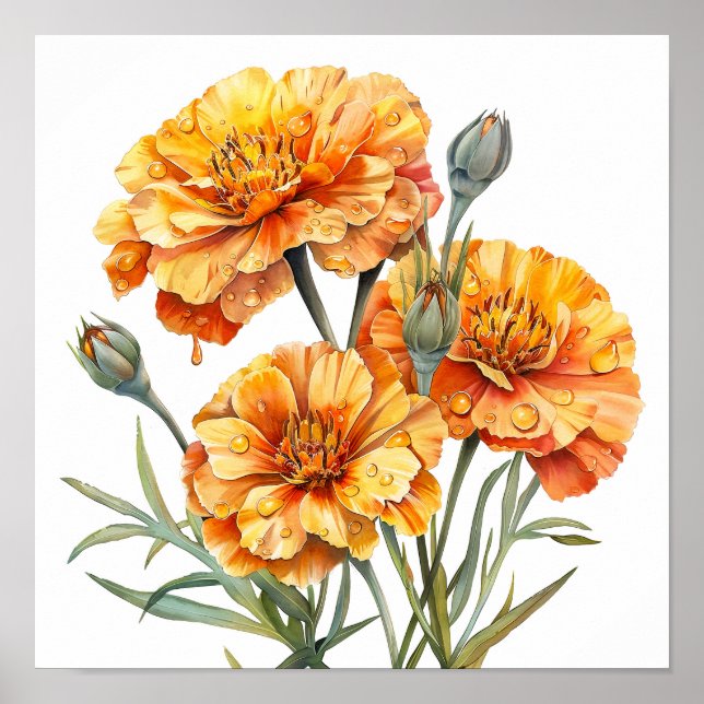Marigold Print, Orange Flowers Wall Art Poster (Framsidan)