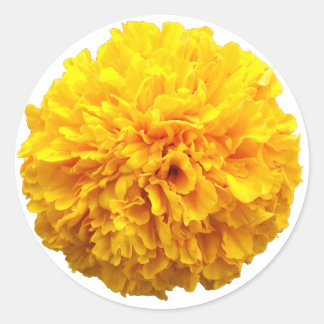 Marigold Runt Klistermärke