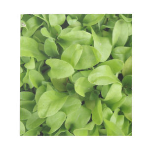 Marigold Seedlings Anteckningsblock