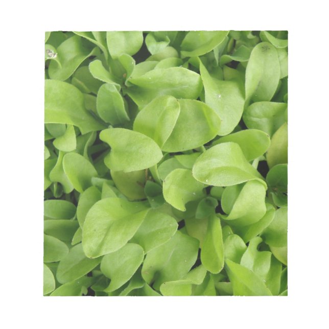 Marigold Seedlings Anteckningsblock (Framsida)