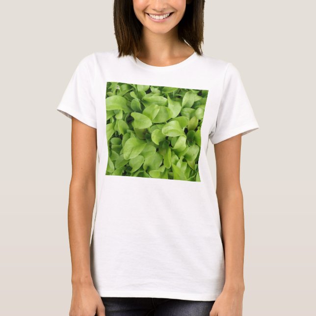 Marigold Seedlings Dam T Shirt (Framsida)