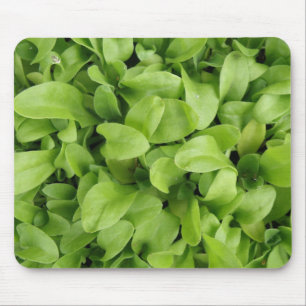 Marigold Seedlings Mousepad Musmatta