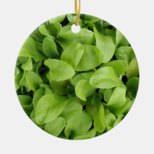 Marigold Seedlings Ornament