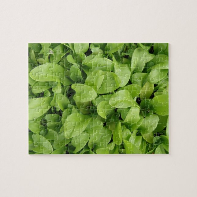 Marigold Seedlings Puzzle Pussel (Horisontell)