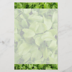 Marigold Seedlings Stationery Brevpapper