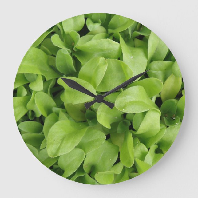 Marigold Seedlings Wall Clock Stor Klocka (Framsida)