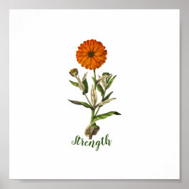 Marigold Strength Inspirational Poster