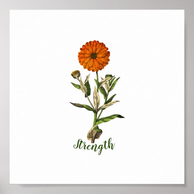 Marigold Strength Inspirational Poster (Framsidan)