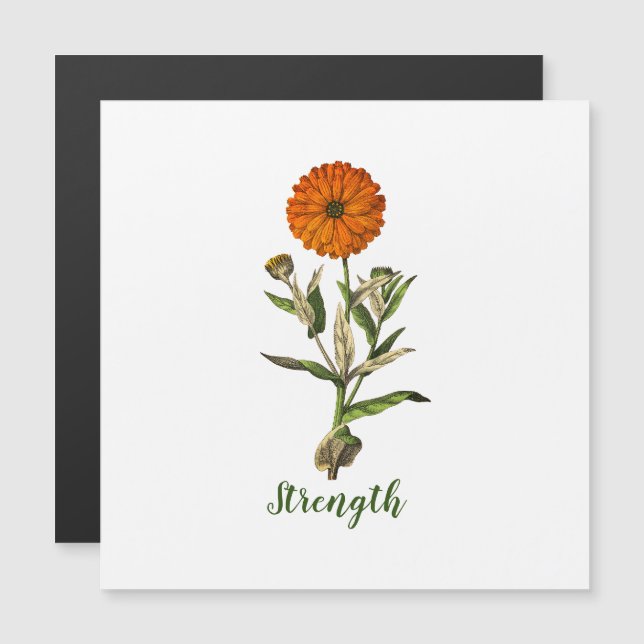 Marigold Strength - inspirationerande magnetkort (Fram/baksida)