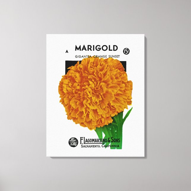Marigold Vintage Seed Packet Canvastryck (Framsida)