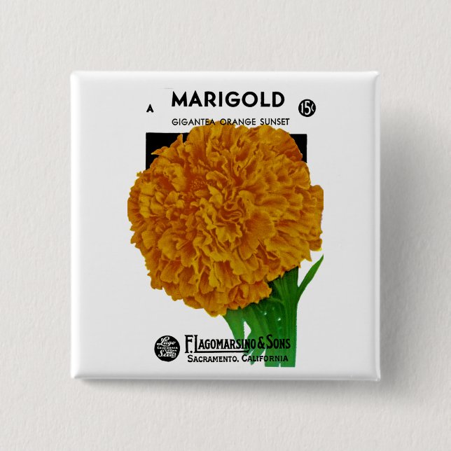 Marigold Vintage Seed Packet Knapp (Framsida)