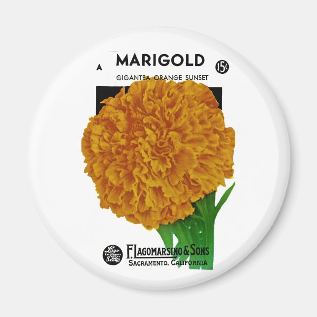 Marigold Vintage Seed Packet Magnet (Framsidan)