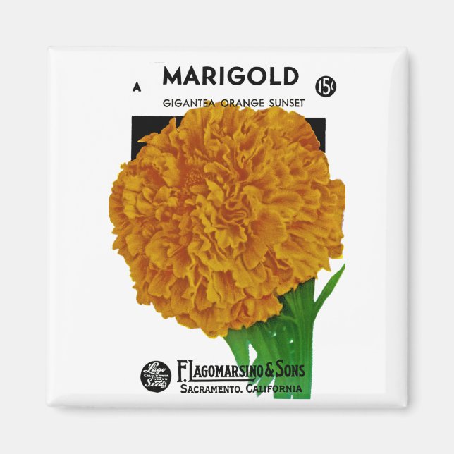 Marigold Vintage Seed Packet Magnet (Framsidan)
