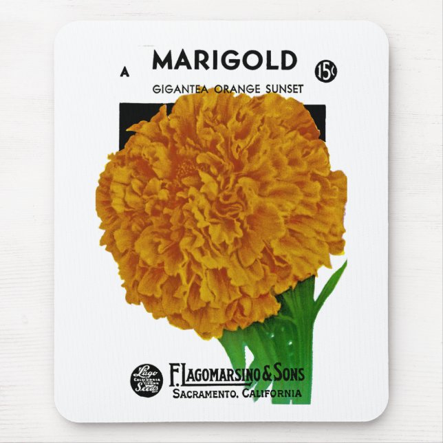 Marigold Vintage Seed Packet Musmatta (Framsidan)