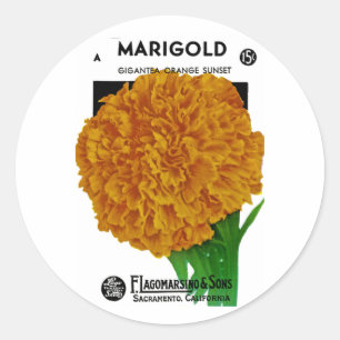 Marigold Vintage Seed Packet Runt Klistermärke