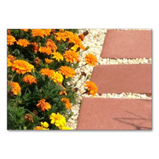 Marigolds Flowers Patio Pavers Reading Flashcard Bordsnummer