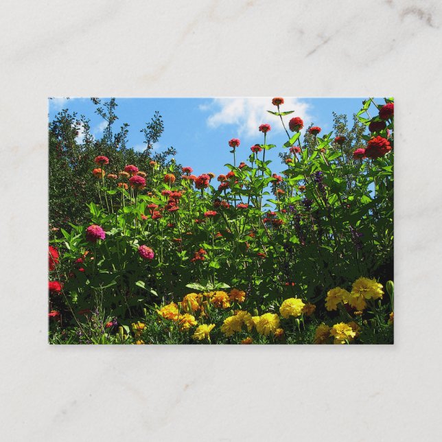 Marigolds, Zinnias och Blå himmel ATC Visitkort (Framsida)