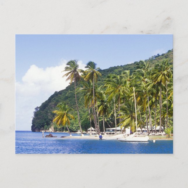 Marigot Bay, St. Lucia, Karibien Vykort (Framsida)