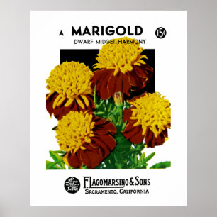 Mariguld Poster