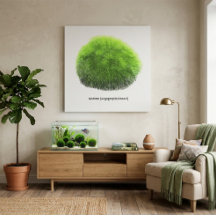 Marimo Mossboll Handritad
