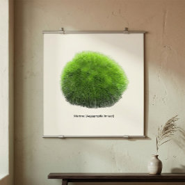 Marimo Mossboll Handritad Poster