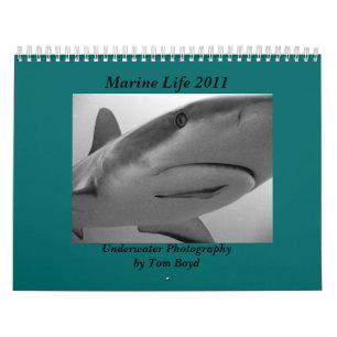 Marin- liv 2011 kalender
