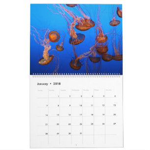 Marin- liv kalender