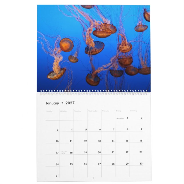 Marin- liv kalender (Jan 2027)