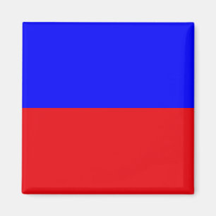Marin signalflagga: Bokstav "E" (Echo) Magnet