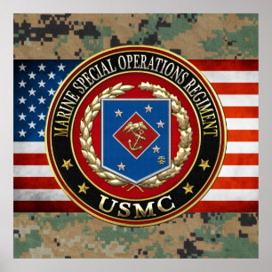 Marin- speciell funktionsRegiment (MSOR) [3D] Poster