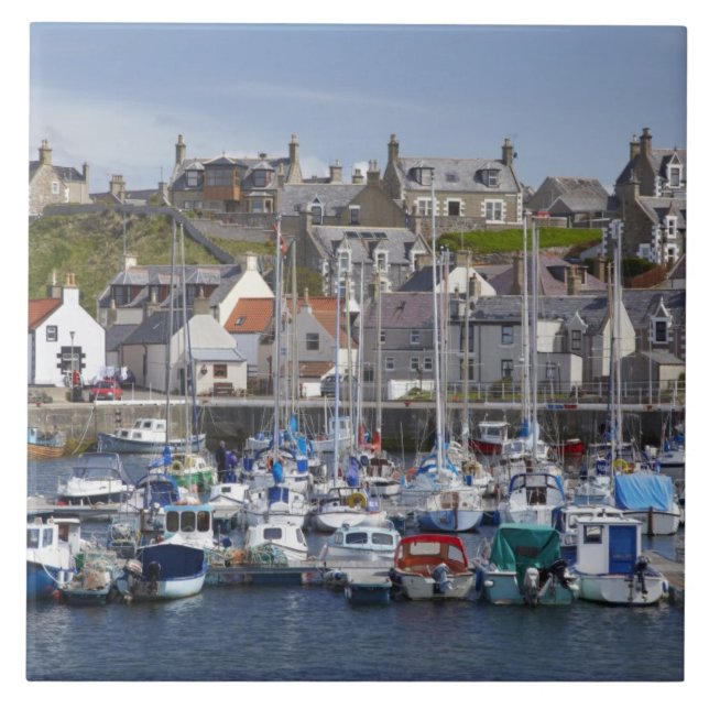 Marina, Findochty, Moray, Skottland, Storbritannie Kakelplatta (Framsidan)