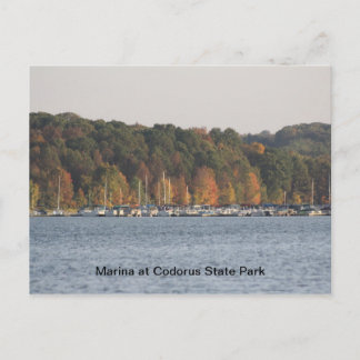 Marina i Codorus State Park Vykort