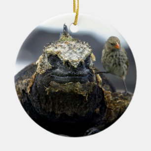 Marina iguana julgransprydnad keramik