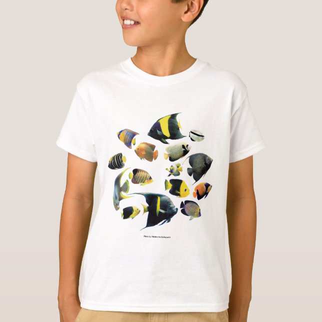 Marine angelfish tee shirt (Framsida)
