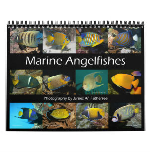 Marine Angelfishes Wall Calendar av J.W. Faderinna Kalender