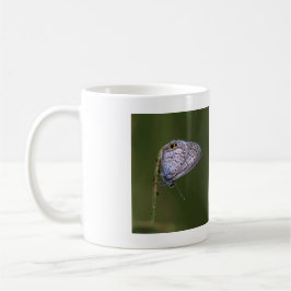 Marine Blue Butterfly Kaffemugg