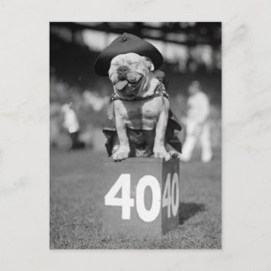 Marine Corps Mascot, 1920-talet Vykort