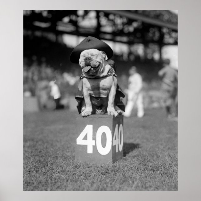 Marine Corps Mascot Jiggs: 1923 Poster (Framsidan)