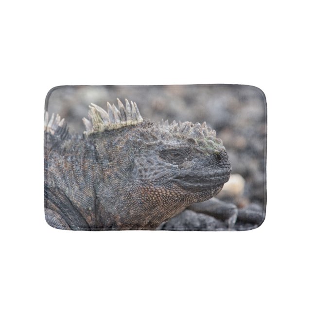 Marine Iguana Badrumsmatta (Framsidan)
