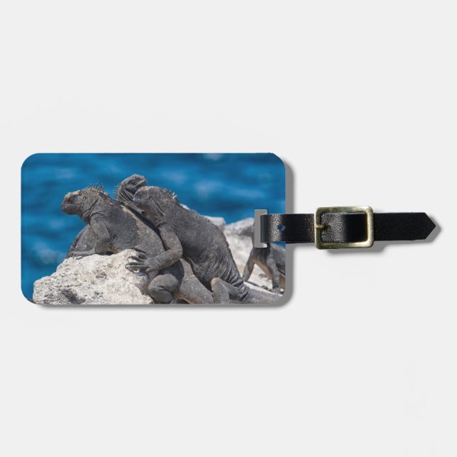 Marine Iguana Bagagebricka (Horisontell Framsida)